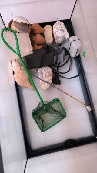 Pecera Rectangular Negra