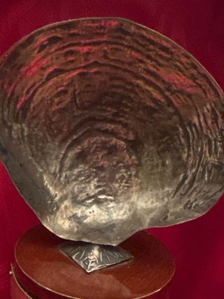 Concha plata ley, sellada. Congreso ORL Santander