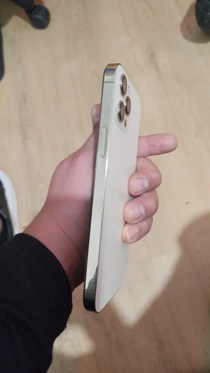 iPhone 12 Pro Max Dorado afbeelding 2