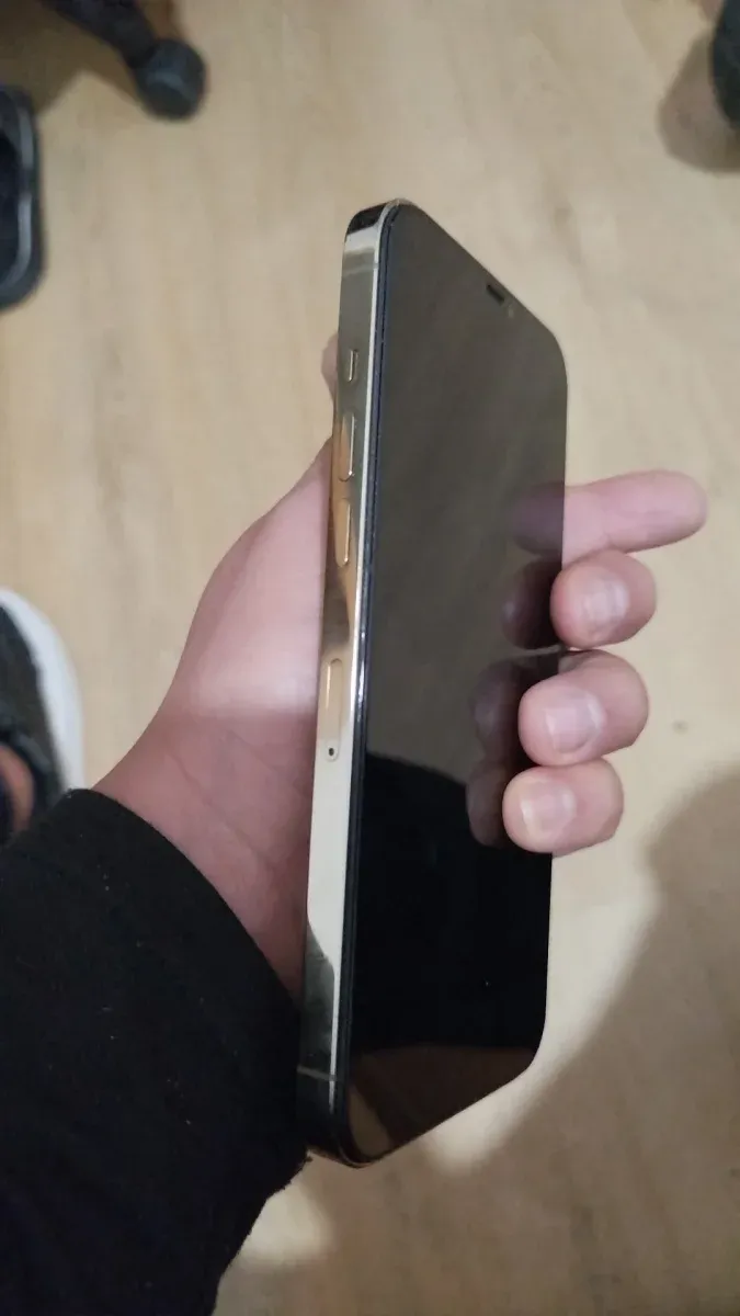iPhone 12 Pro Max Dorado afbeelding 3