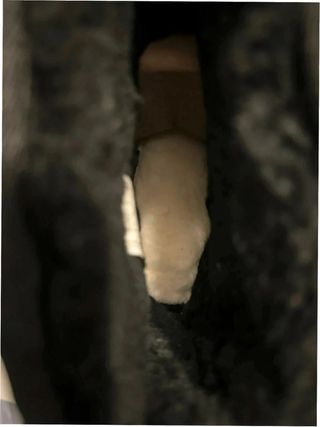 Stivali UGG Ultra Mini con piattaforma Taglia 38