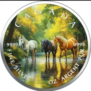 Moneda Canada 1 oz Plata Pura