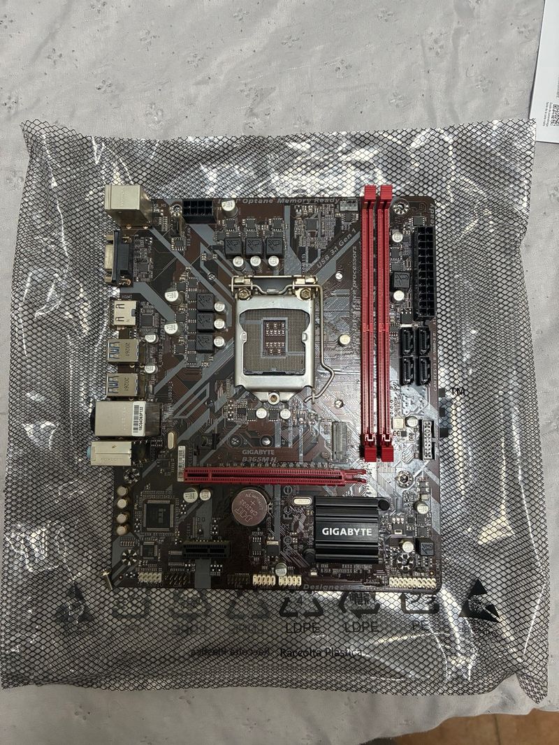 Placa Base Gigabyte B365M