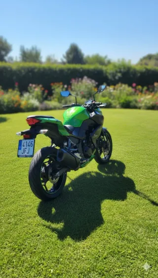 Moto Kawasaki Z300Verde