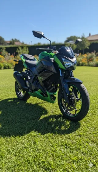 Moto Kawasaki Z300Verde