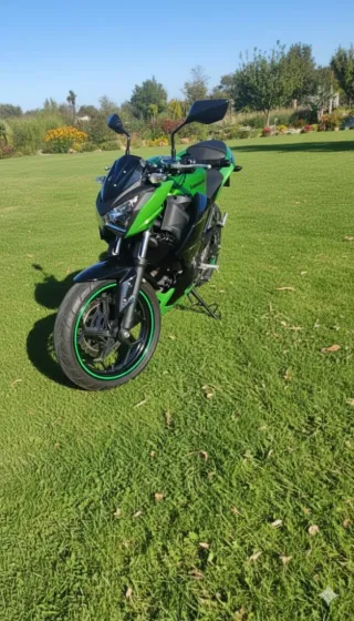 Moto Kawasaki Z300Verde