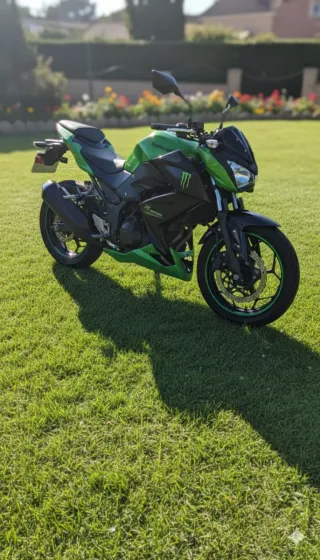 Moto Kawasaki Z300Verde