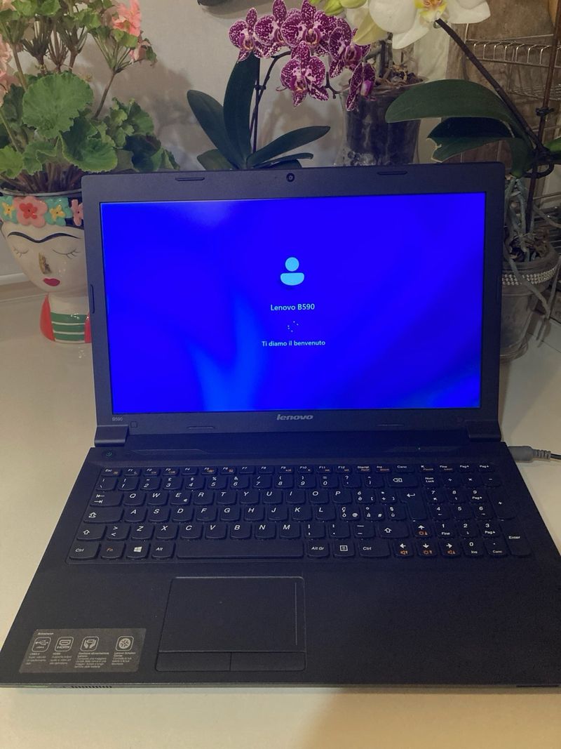 Portátil Lenovo B590 Negro afbeelding 4