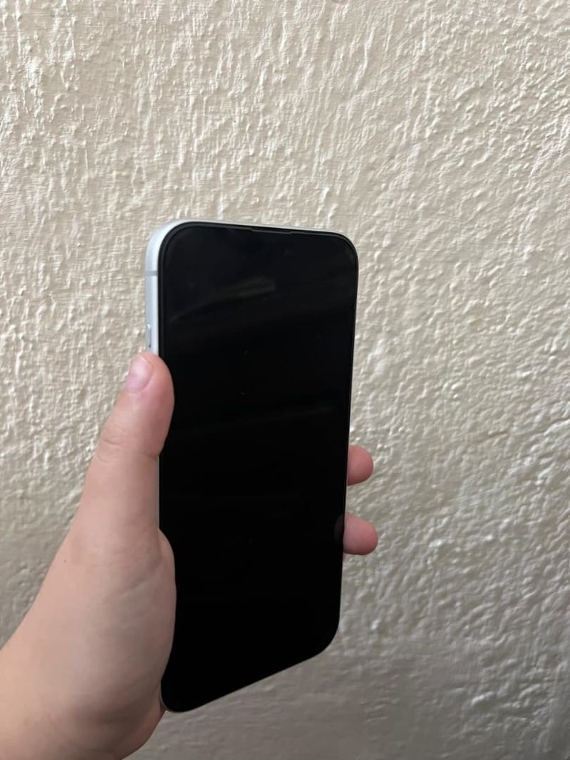 iPhone 17 Pro Max 256Gb Plata afbeelding 2