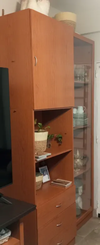Mueble salón vitrina y armario