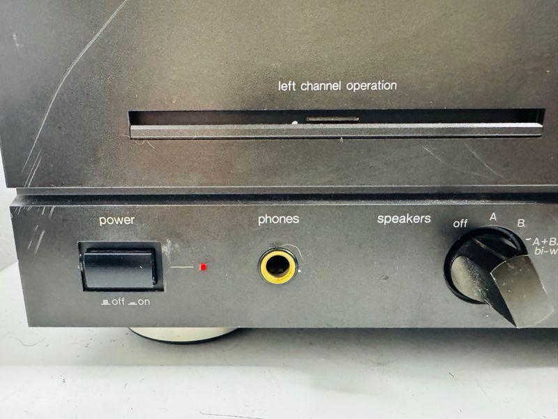 Technics SE-M100 Amplificador Potencia Digital afbeelding 4