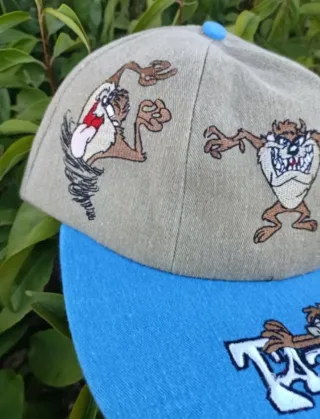 Gorra plana Demonio de Tasmania