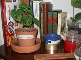 Olympus SP-350 Fotocamera Compatta Digitale