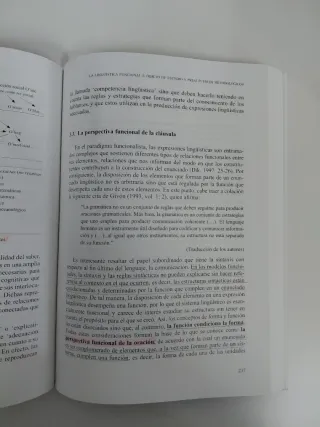 Teorías lingüísticas