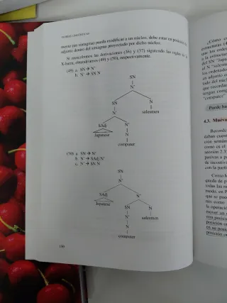 Teorías lingüísticas