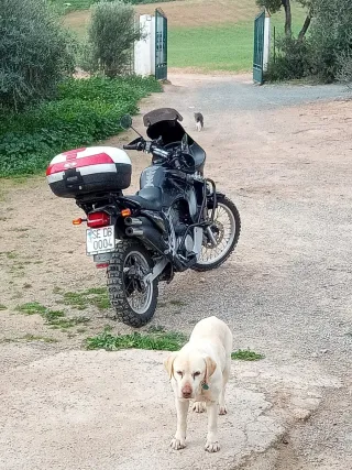 Honda Transalp 600 Negra 98000 kilómetros