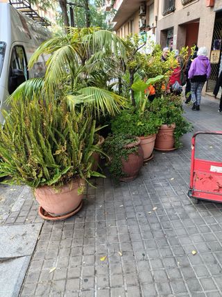 servicio de vaciado de piso