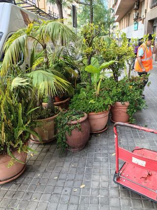 servicio de vaciado de piso