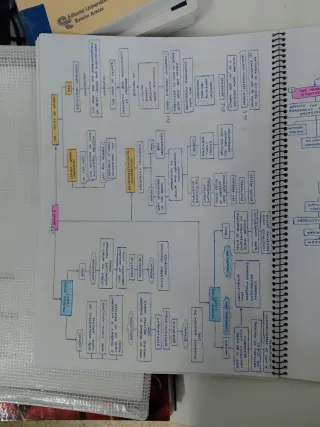 English Sociolinguistics