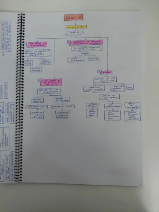 English Sociolinguistics