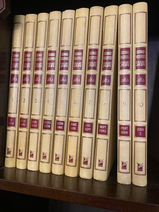 Diccionario 10 tomos