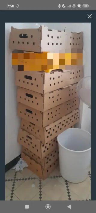 Cajas de transporte para perdices