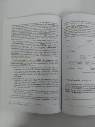 Claves del Lenguaje Humano