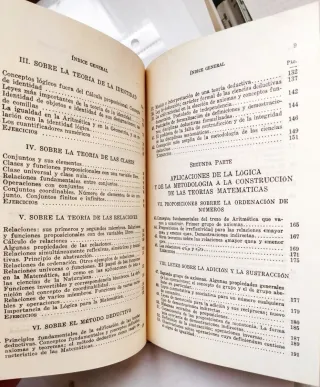 Fundamentos y Lógica en la Matemática