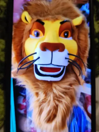 Alquiler Cabezones: Stitch, Sky, Chase, Minnie