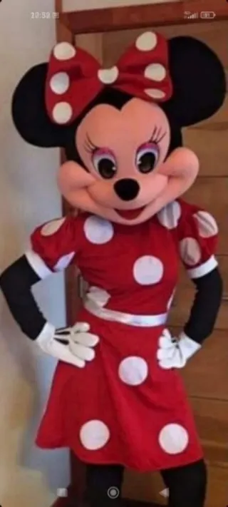 Alquiler Cabezones: Stitch, Sky, Chase, Minnie