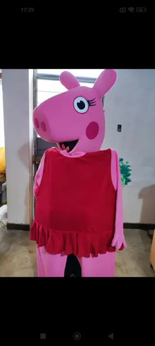 Alquiler Cabezones: Stitch, Sky, Chase, Minnie