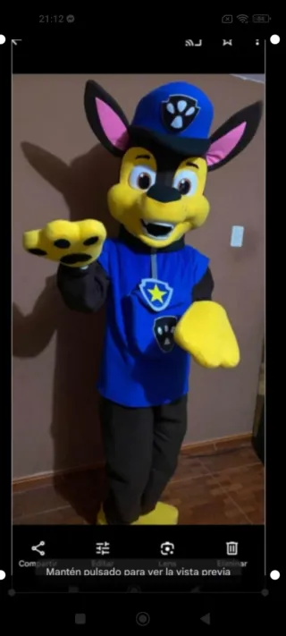 Alquiler Cabezones: Stitch, Sky, Chase, Minnie