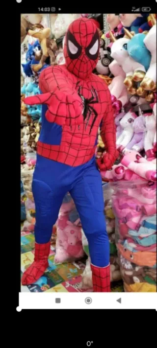 Alquiler Cabezones: Stitch, Sky, Chase, Minnie