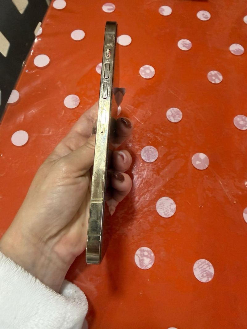 iPhone 13 Pro Max Dorado/Plateado afbeelding 2