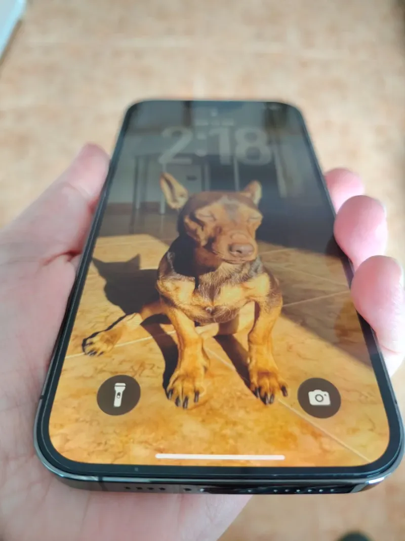iPhone 13 Pro Max Gris Espacial afbeelding 2