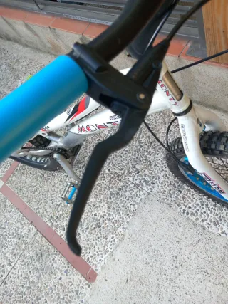 Bicicleta Monty 220 Kamel