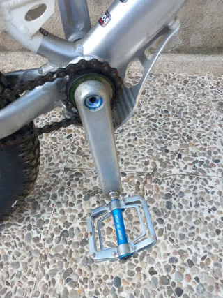 Bicicleta Monty 220 Kamel