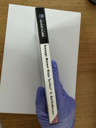 Teenage Mutant Ninja Turtles 2 GameCube