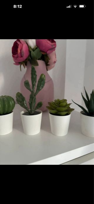 Set 6 Piante Artificiali Succulente