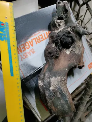 Legno tropicale per acquario/terrario