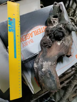 Legno tropicale per acquario/terrario