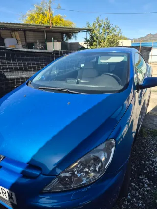 Peugeot 307 descapotable