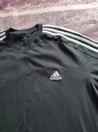 6 Camisetas Hombre Marca