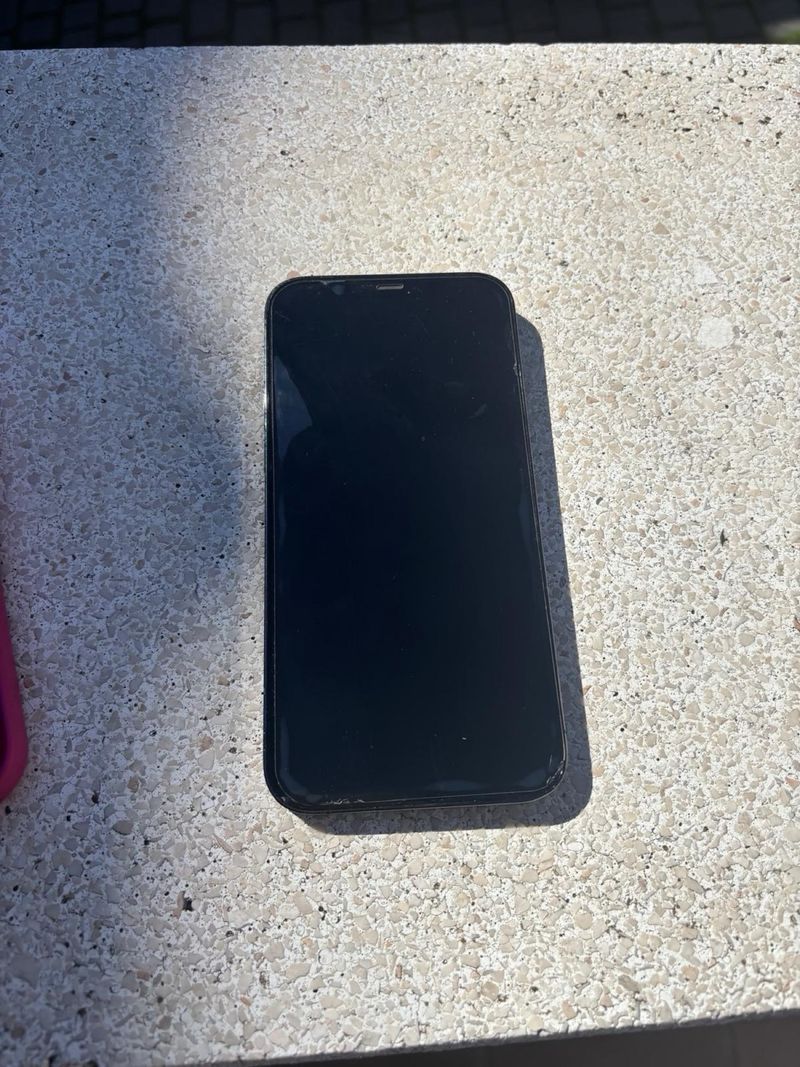iPhone 12 Pro Max Gris afbeelding 4