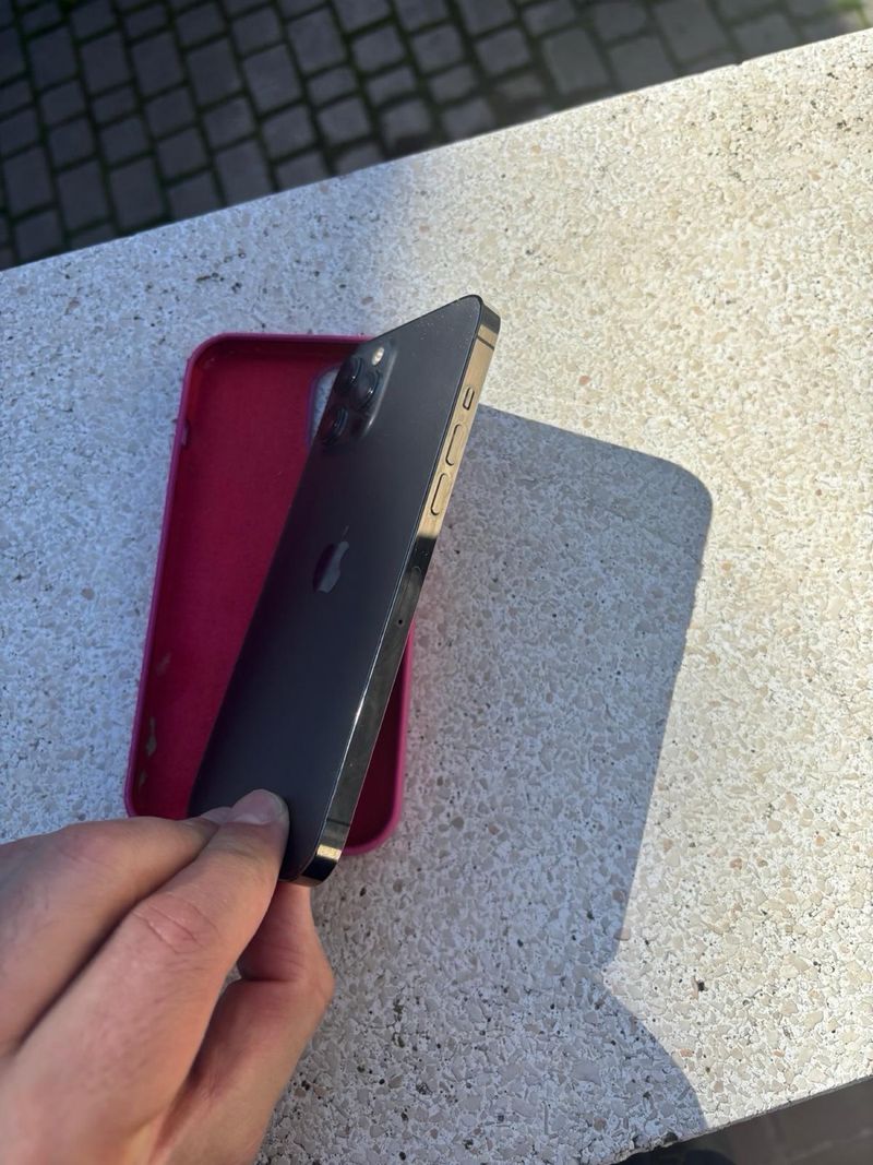 iPhone 12 Pro Max Gris afbeelding 2