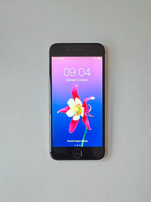 iPhone 6 Gris/Plata
