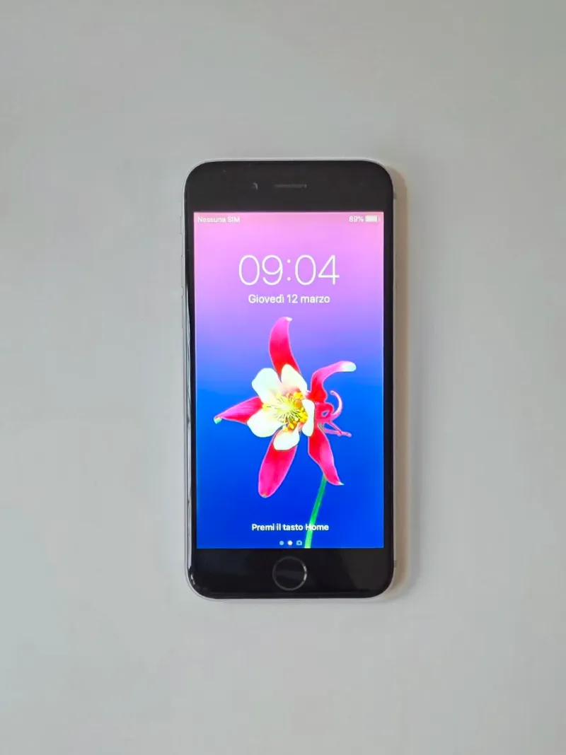 iPhone 6 Gris/Plata
