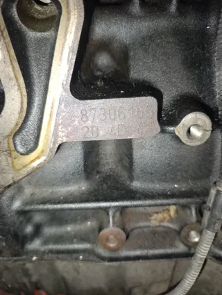 Motor BMW con referencia 87306165. Tipo 20 4D 4