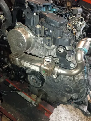 Motor BMW con referencia 87306165. Tipo 20 4D 4