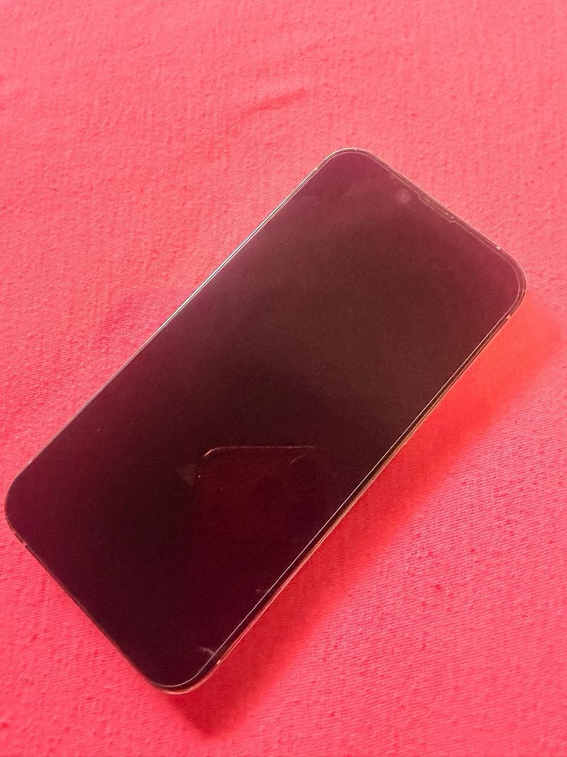 iPhone 13 Pro Plata afbeelding 3